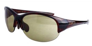 SURRY SERIES
